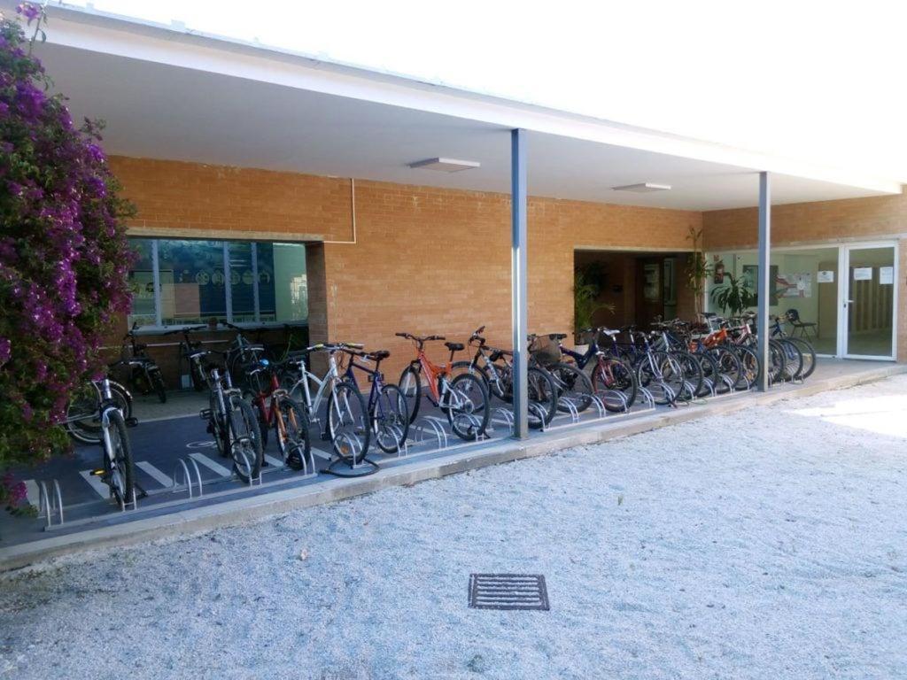 Students Only- Residencia Universitaria Alberto Jimenez - Malaga — Fotos 3